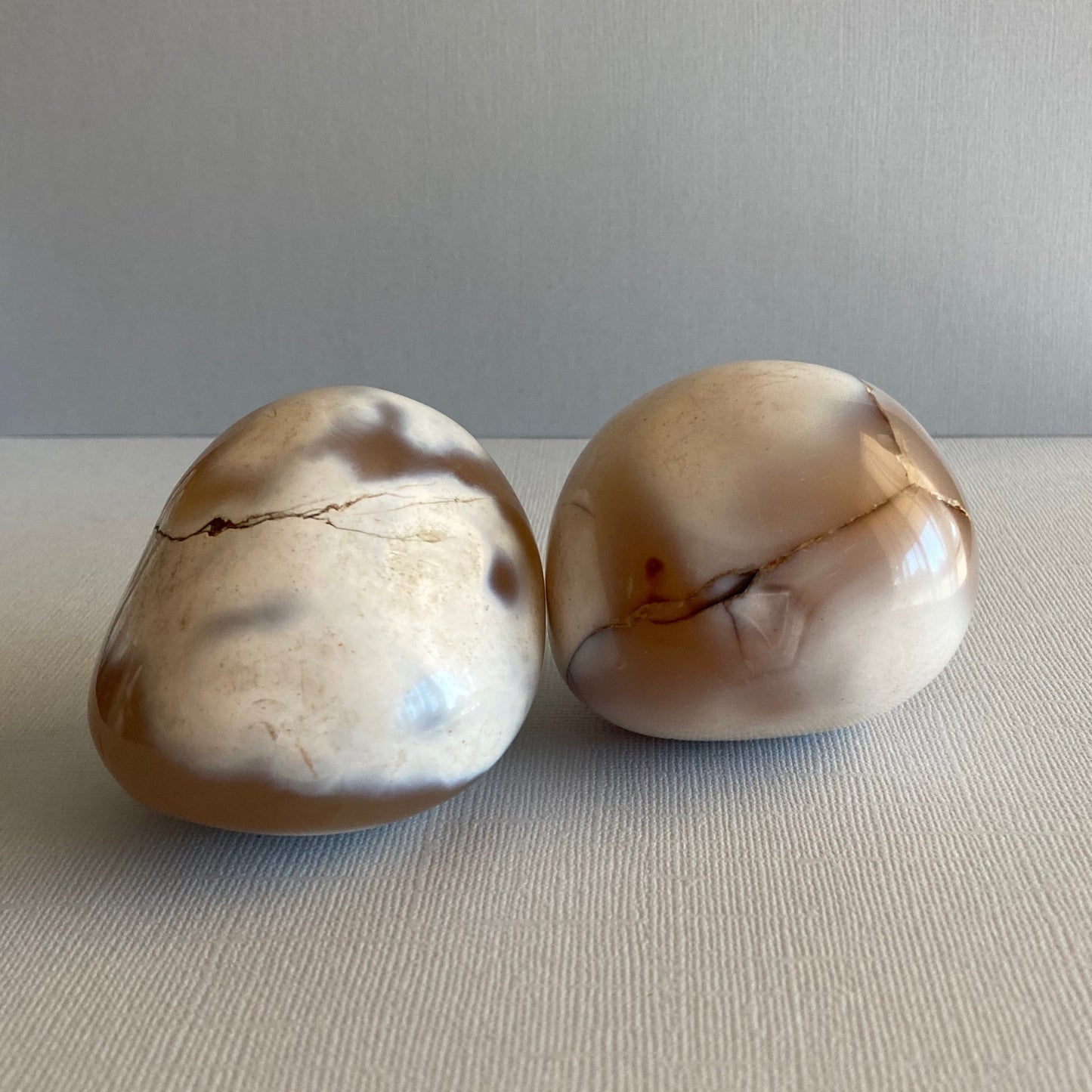 Orca Agate Palms - Large - Star-Crossed Stones