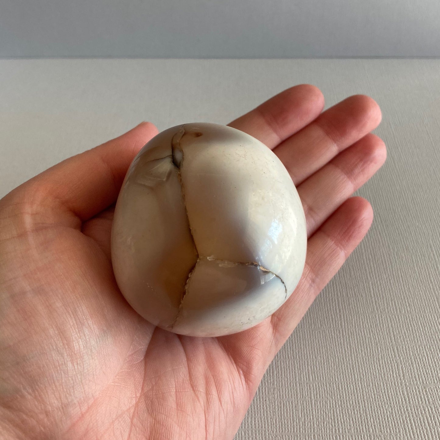 Orca Agate Palms - Large - Star-Crossed Stones