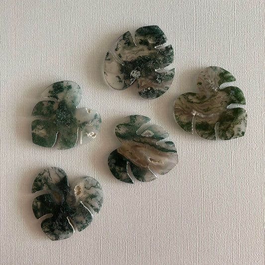 Moss Agate Monstera Leaves