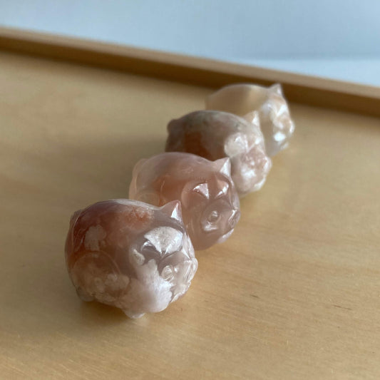 Flower Agate Mini Pigs