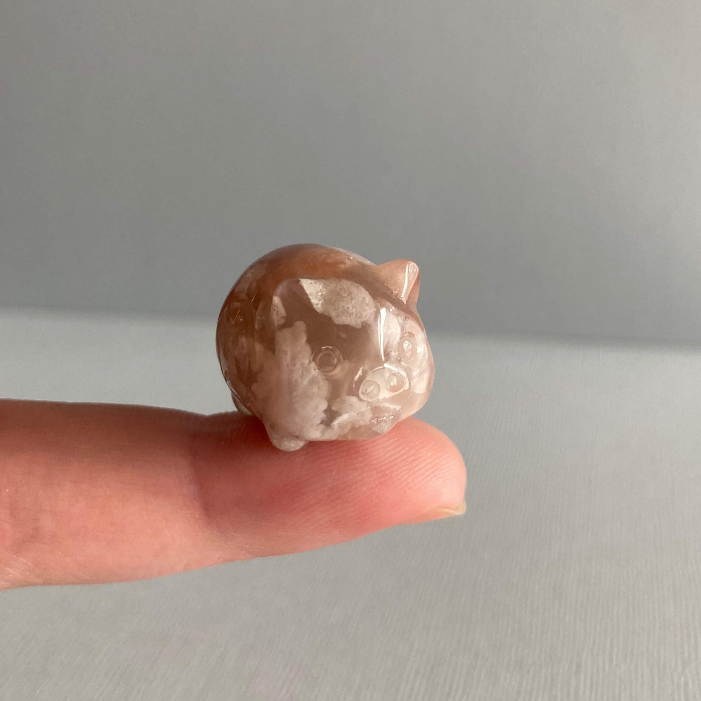 Flower Agate Mini Pigs