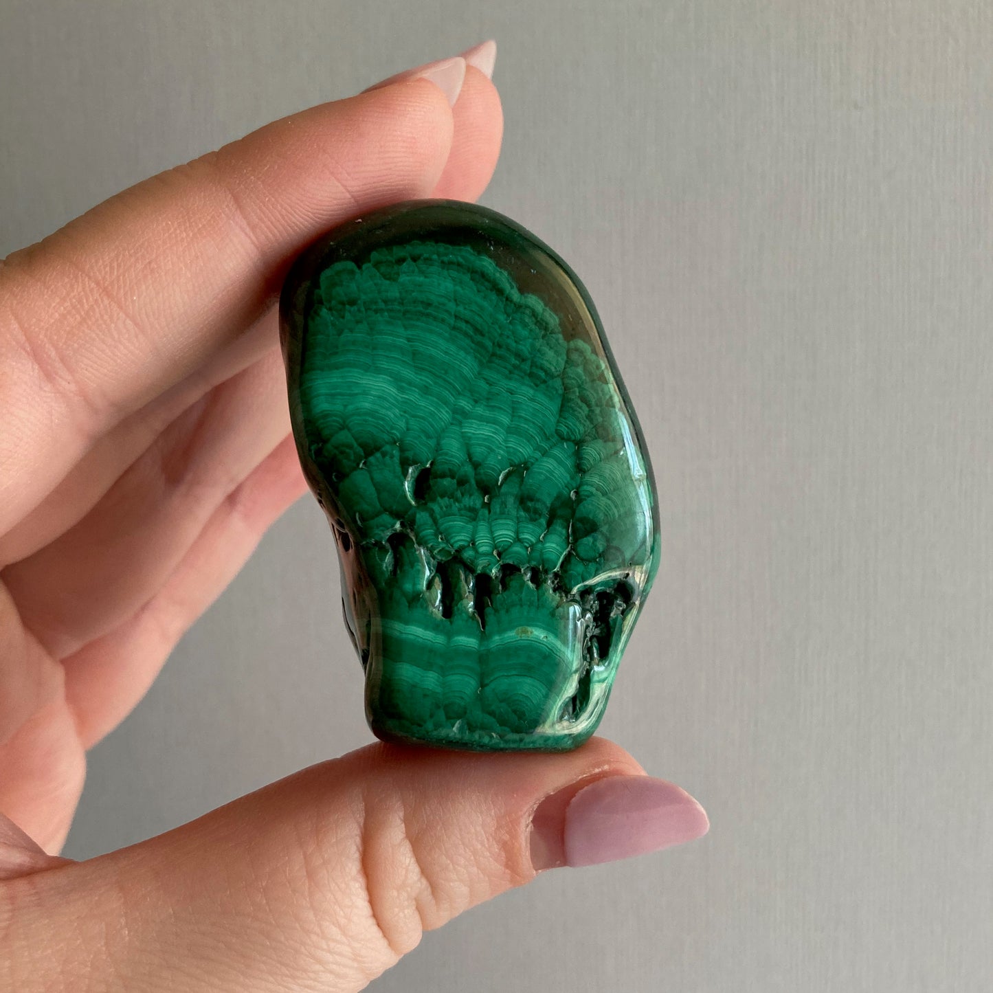 Malachite Palms - High Quality