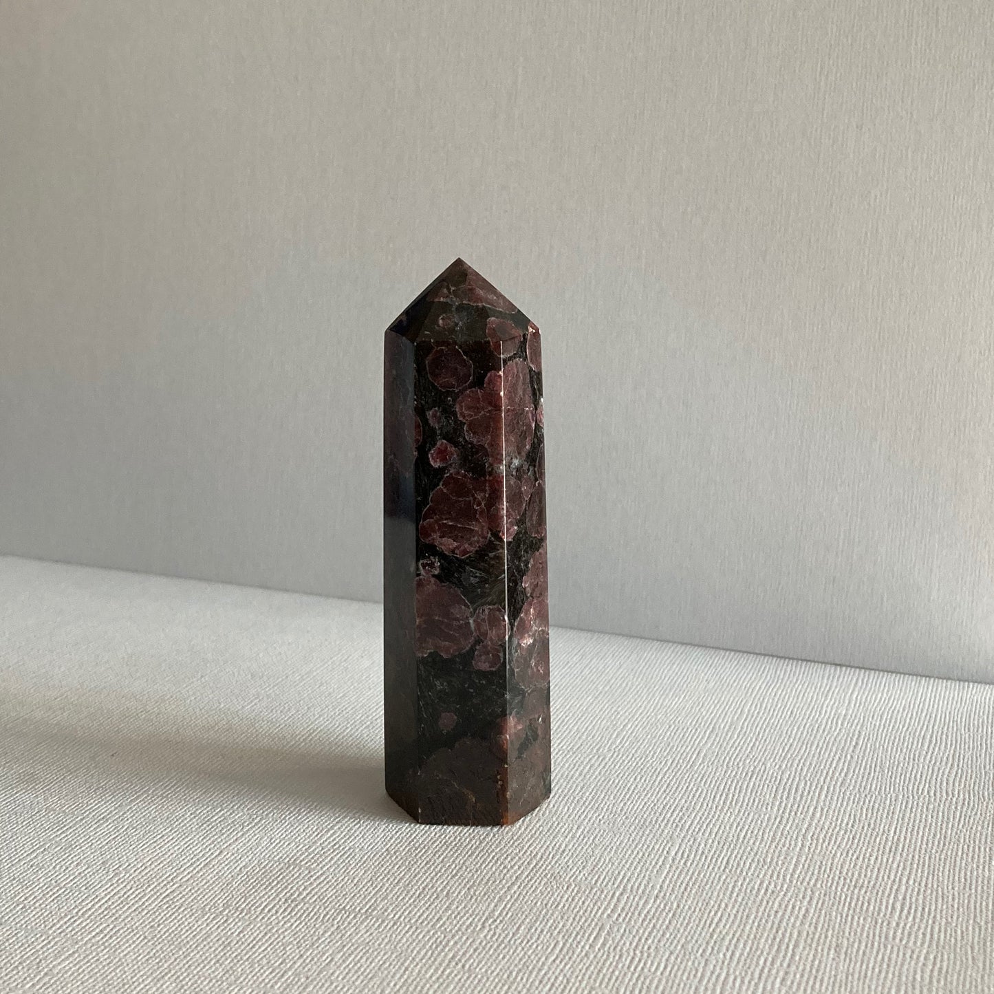 Garnet in Arfvedsonite Towers