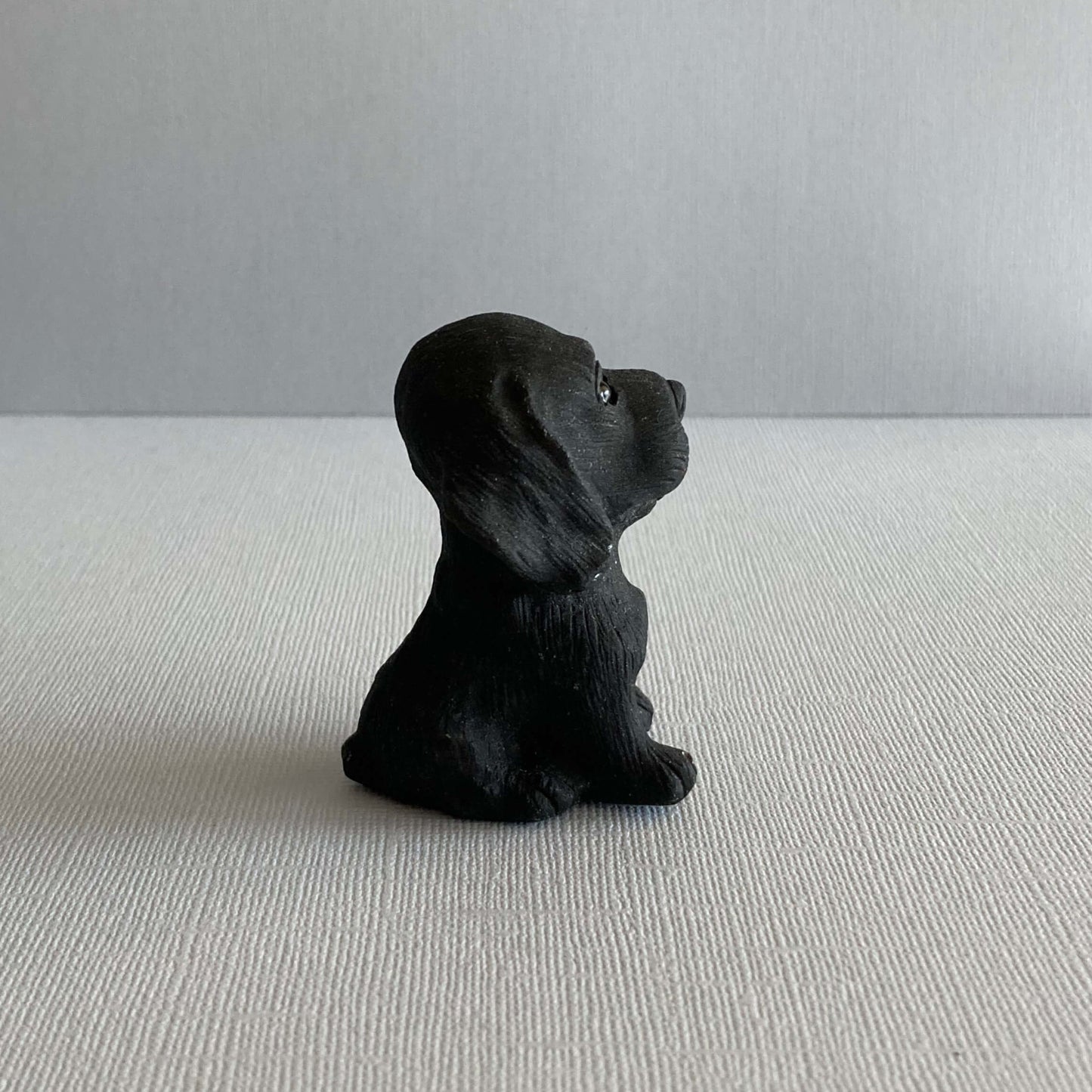 Black Obsidian Dog