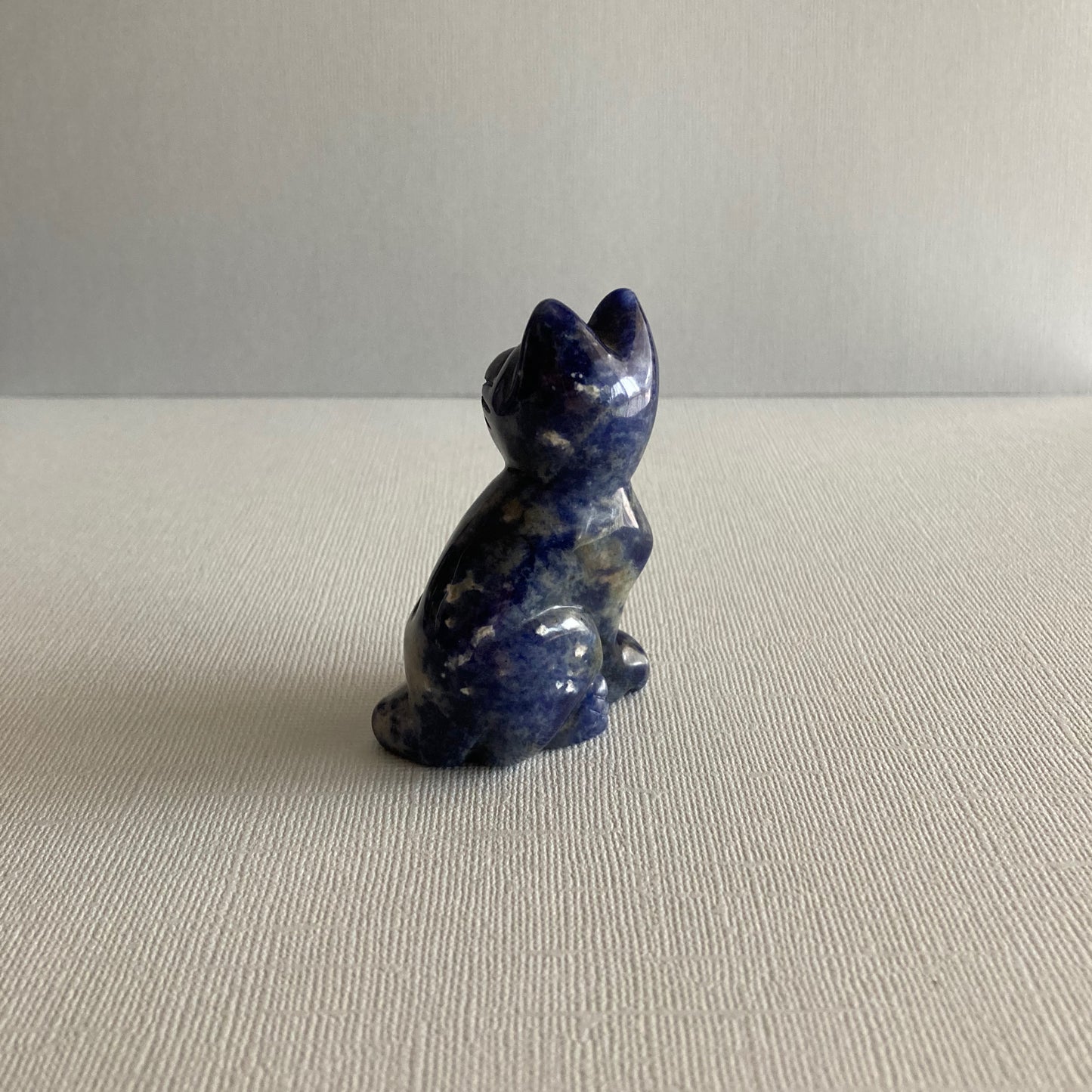 Sodalite Cat