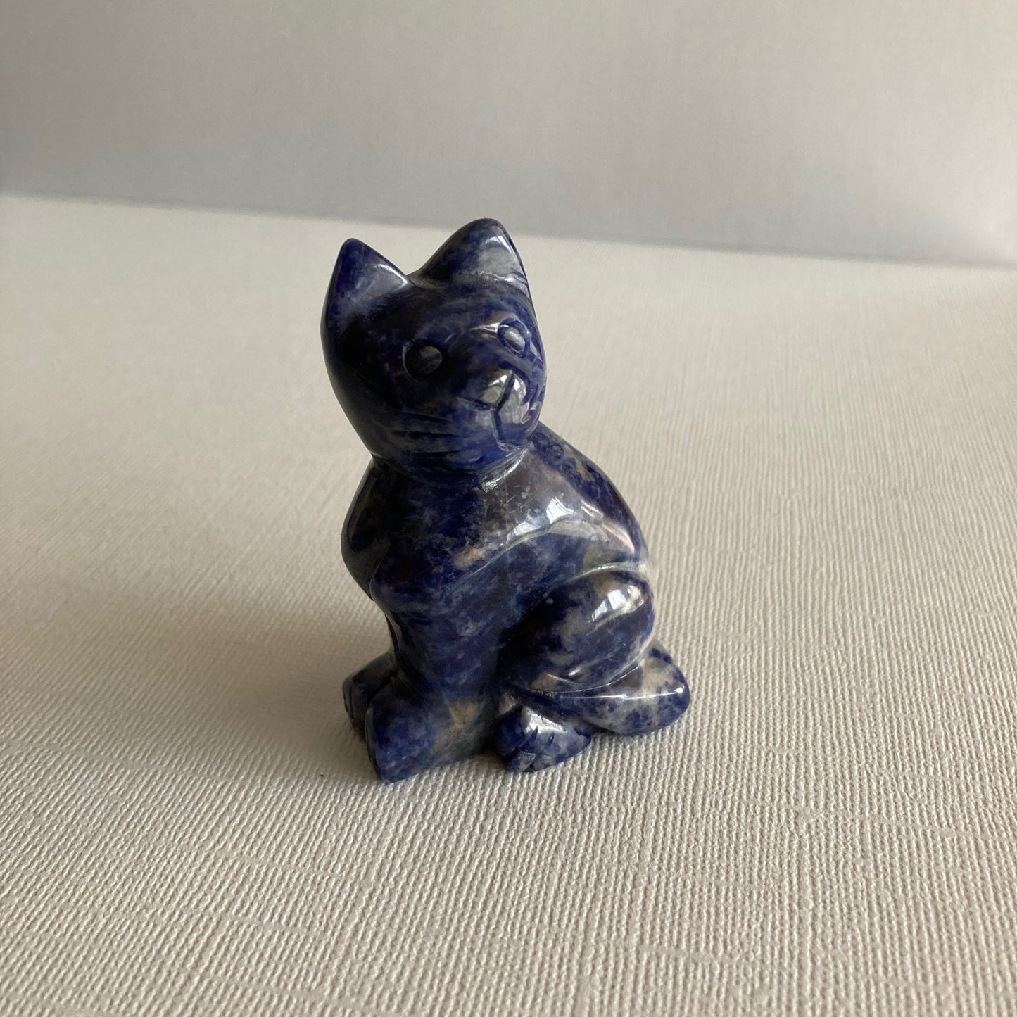 Sodalite Cat